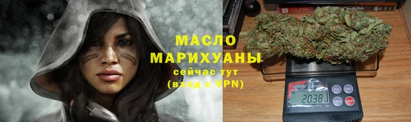 дмт Абаза