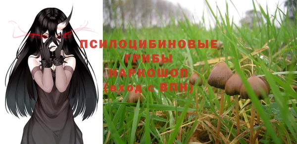мяу мяу мука Алексин