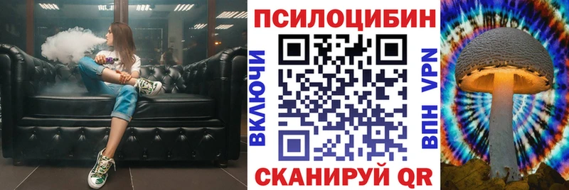 как найти закладки  Елизово  Псилоцибиновые грибы Psilocybine cubensis 