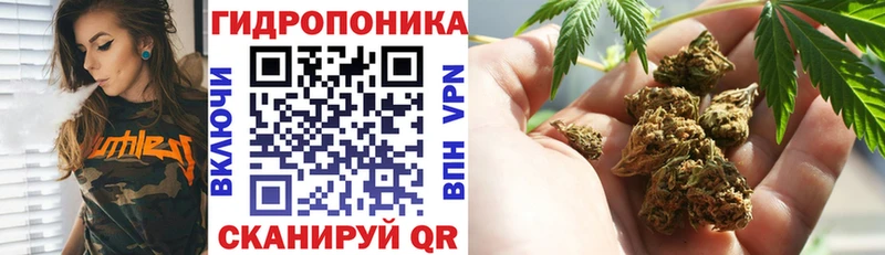 Шишки марихуана VHQ Елизово